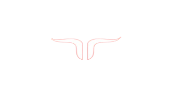 Jetbull