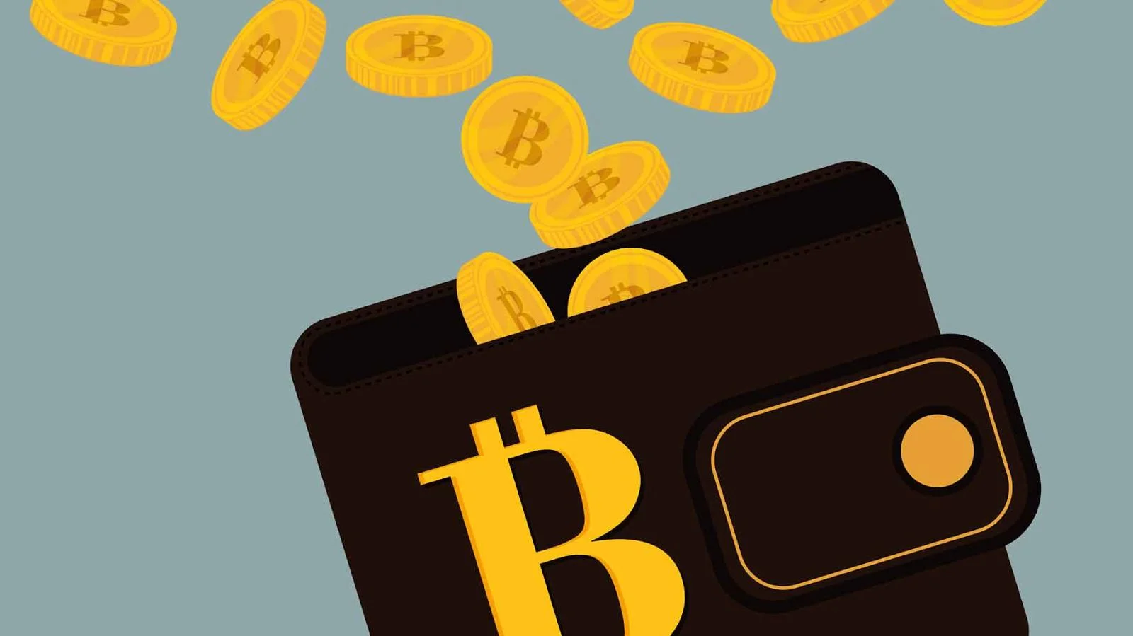 Bitcoin Geldbörse – Digitale Wallet für Bitcoin Casino Einzahlungen und Auszahlungen 2026