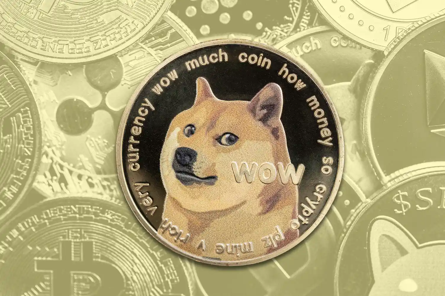 Dogecoin Physische Münze – DOGE mit Shiba-Inu-Motiv, Symbol der Meme-Coin-Bewegung seit 2013